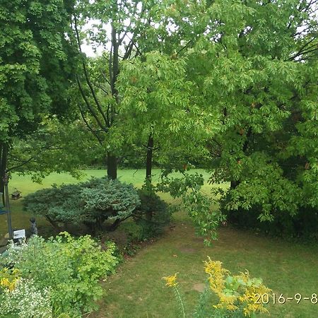 多伦多邓肯公园民宿 Toronto Duncan Park Guesthouse Εξωτερικό φωτογραφία